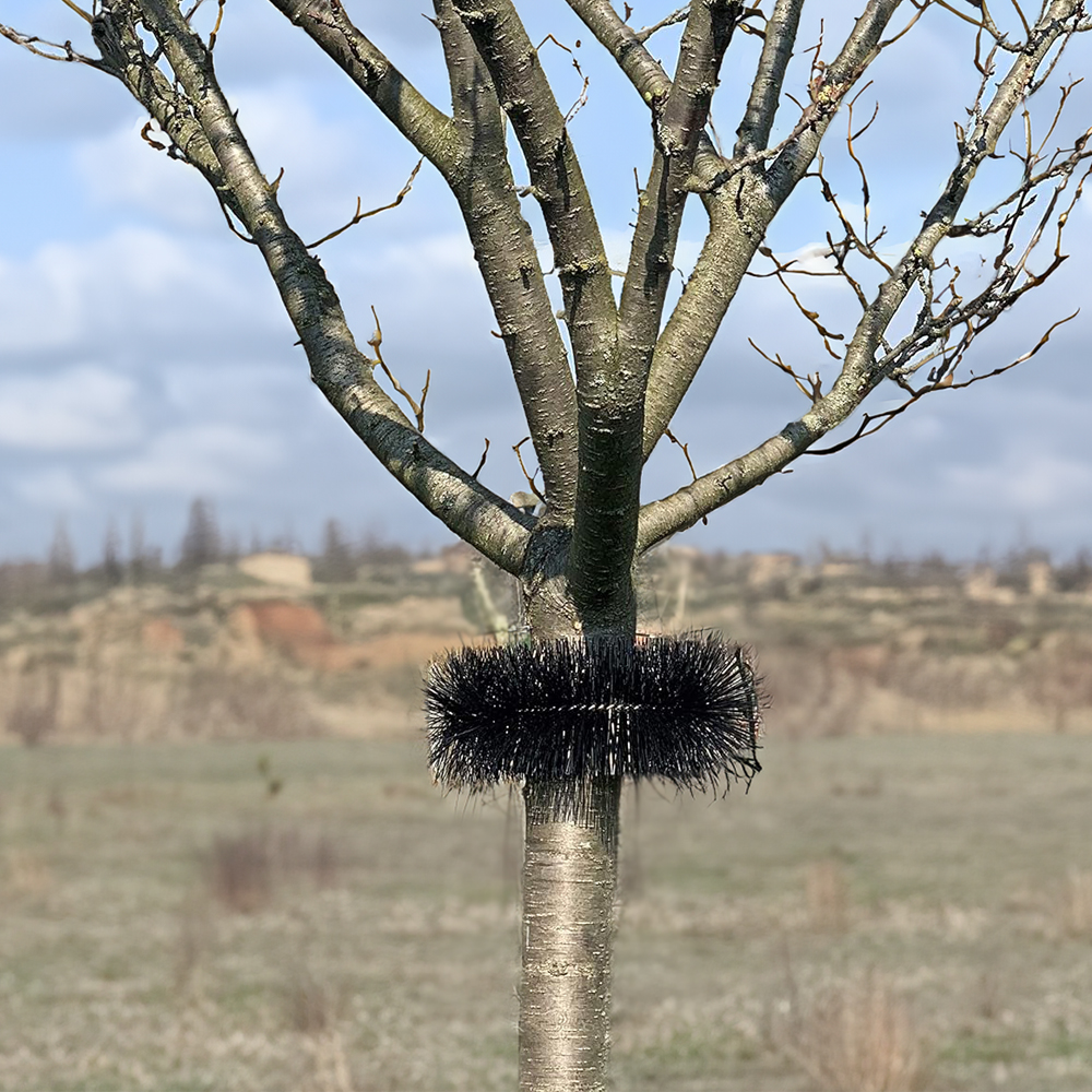 5 x 120cm Schutzbürsten Ø 19cm Vogel Taube Marder Nager Solaranlage Photovoltaik Regenrinne