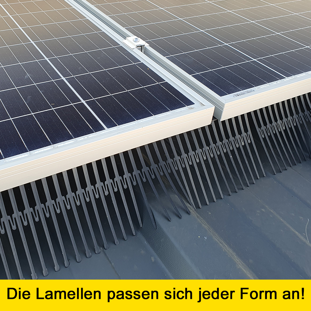 Birdstop Kunstoffclip - Zubehör Vogelschutz für Solaranlagen – Marderschutz für PV-Module & Dach Birdstop Kunstoffclip - Zubehör Vogelschutz für Solaranlagen – Marderschutz für PV-Module & Dach